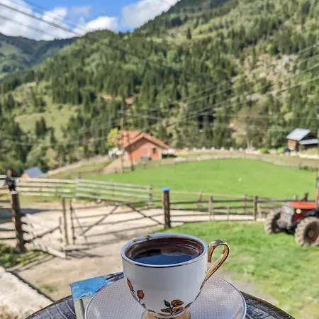 In Rugove, Kosovo 木屋 Gjvukaj